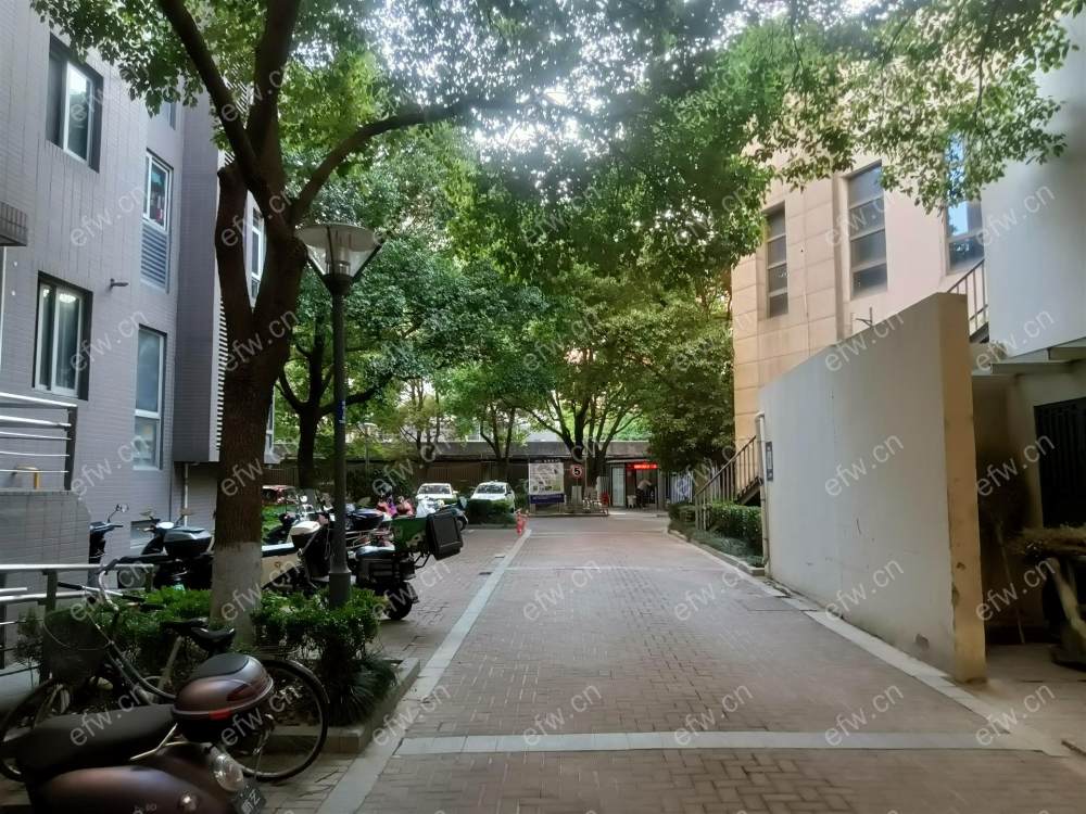 时代上城B区  洋房区      南北通透小三房