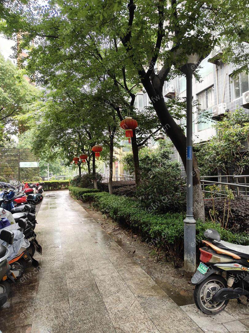 嘉德花园 1室1厅 家具家电齐全 拎包入住