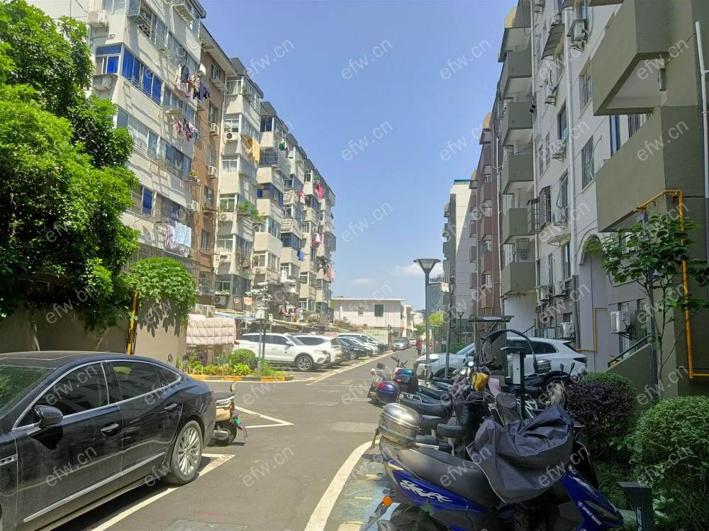 带3个院子一口价还价不要看
