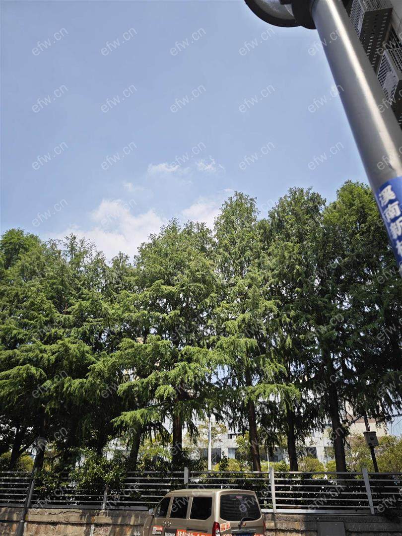 精装修拎包入住，看房方便