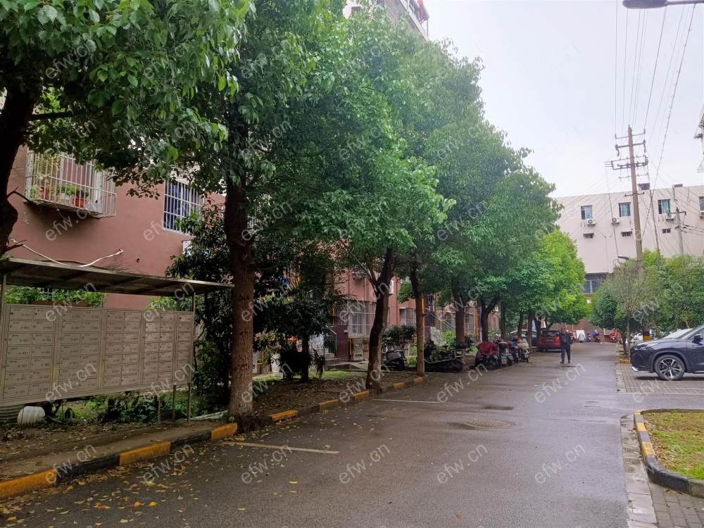 中星苑 经典2房 东边户 全明 精装修！