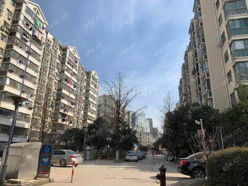 民丰西苑 2室2厅，精装修，拎包入住。