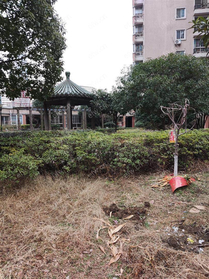 水车湾精装1室  随时看房 拎包入住