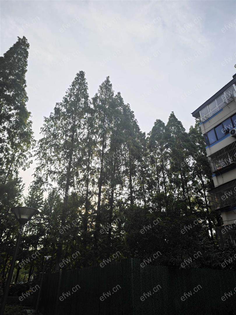 溪南新村 1室1厅