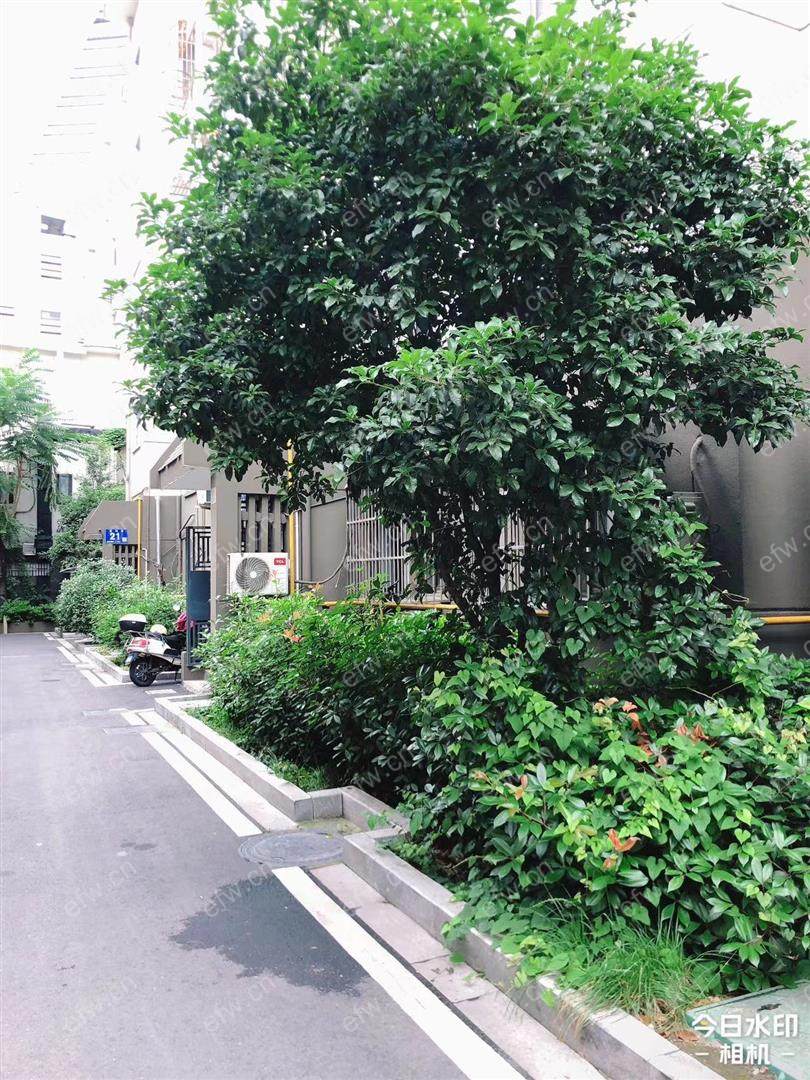 五姓巷精装2室  随时看房 拎包入住