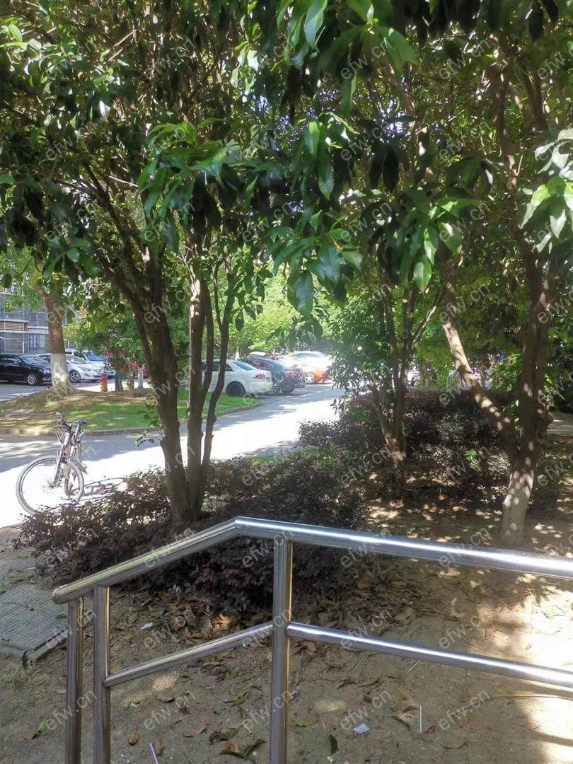 天河嘉寓(沁春园) 2室2厅