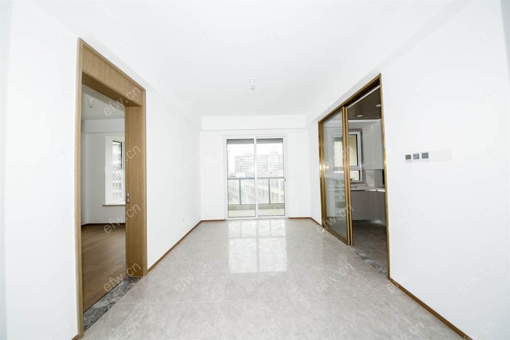 village room房 全明户型 另送家电