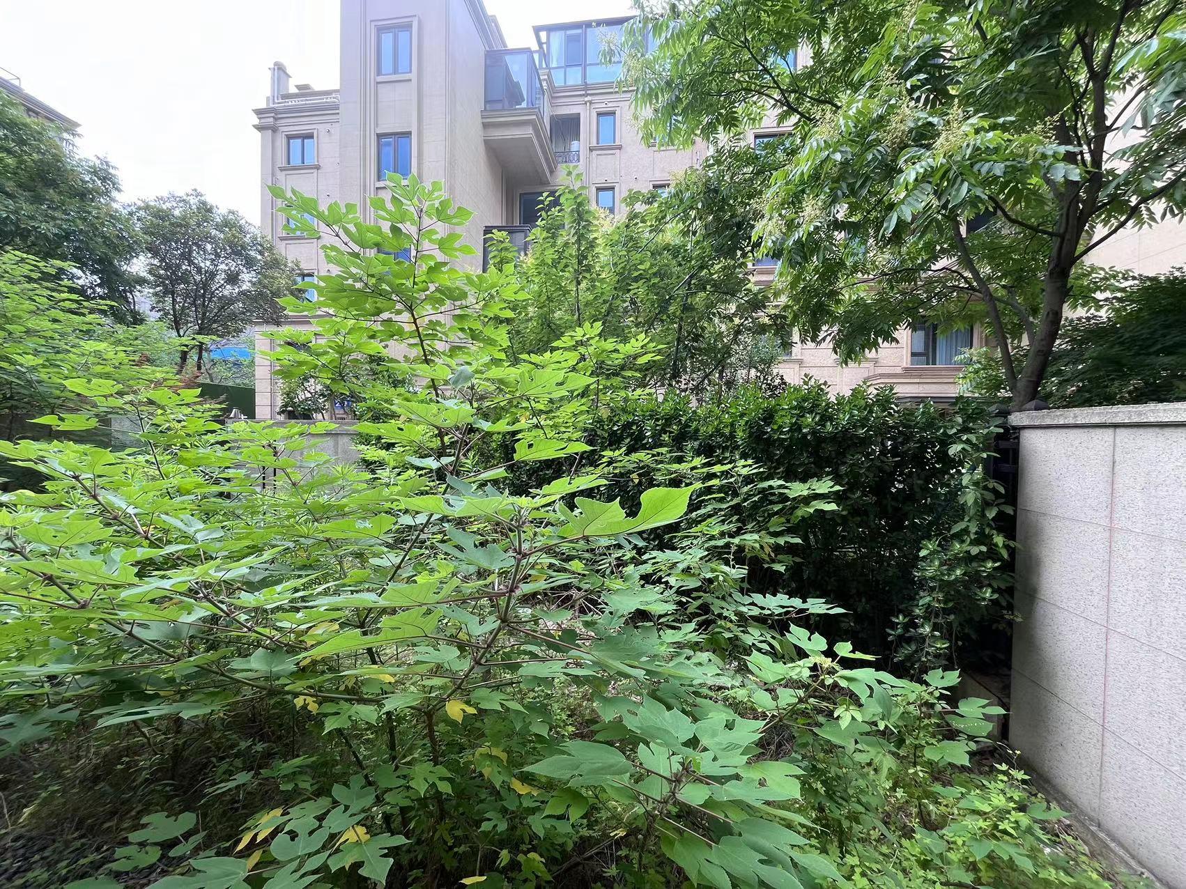 蠡湖金茂府