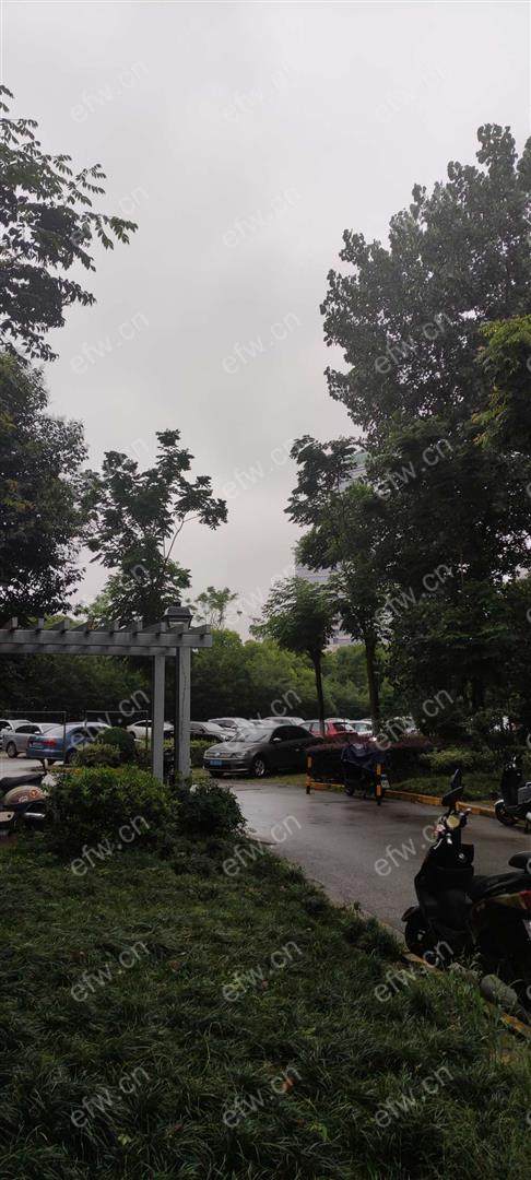 village  精装修 无遮挡采光好 电梯房 南北通透 随时看