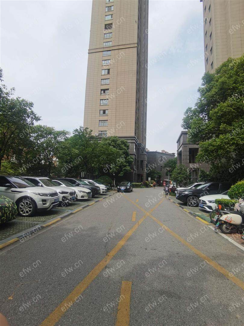 世茂际广场精装2室  随时看房 拎包入住