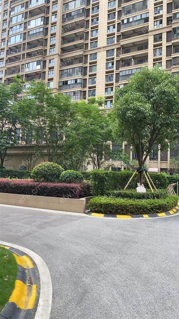 时光里 精装三房 房东诚心卖