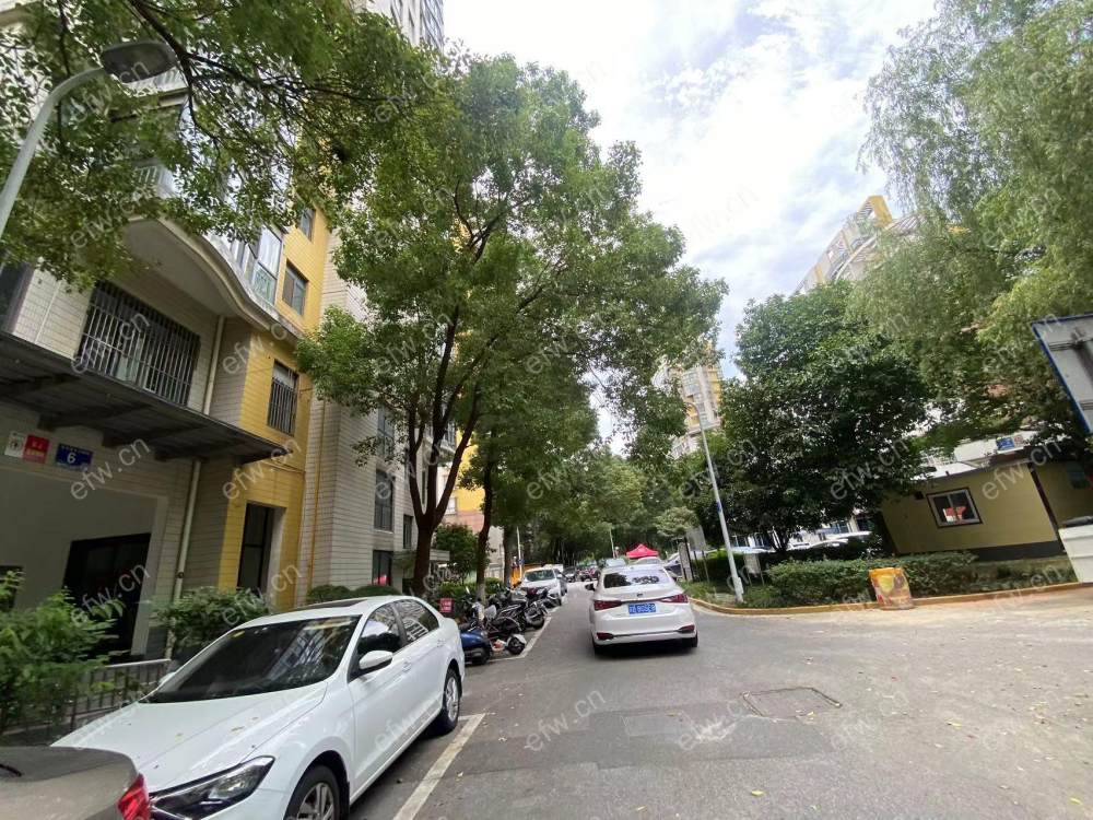 锡师附小书包房 价低急售 精装电梯13楼三卧室朝阳