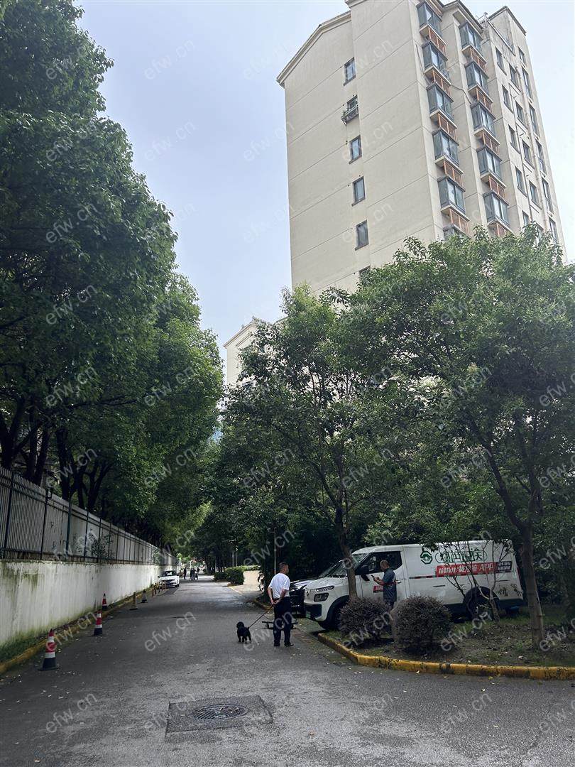 3室 经典room房 东边户 全明 精装修！