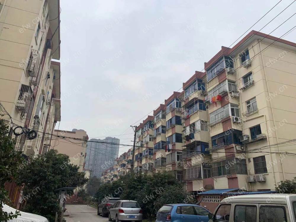 五河新村 2室1厅  户型方正 南北通透 采光好