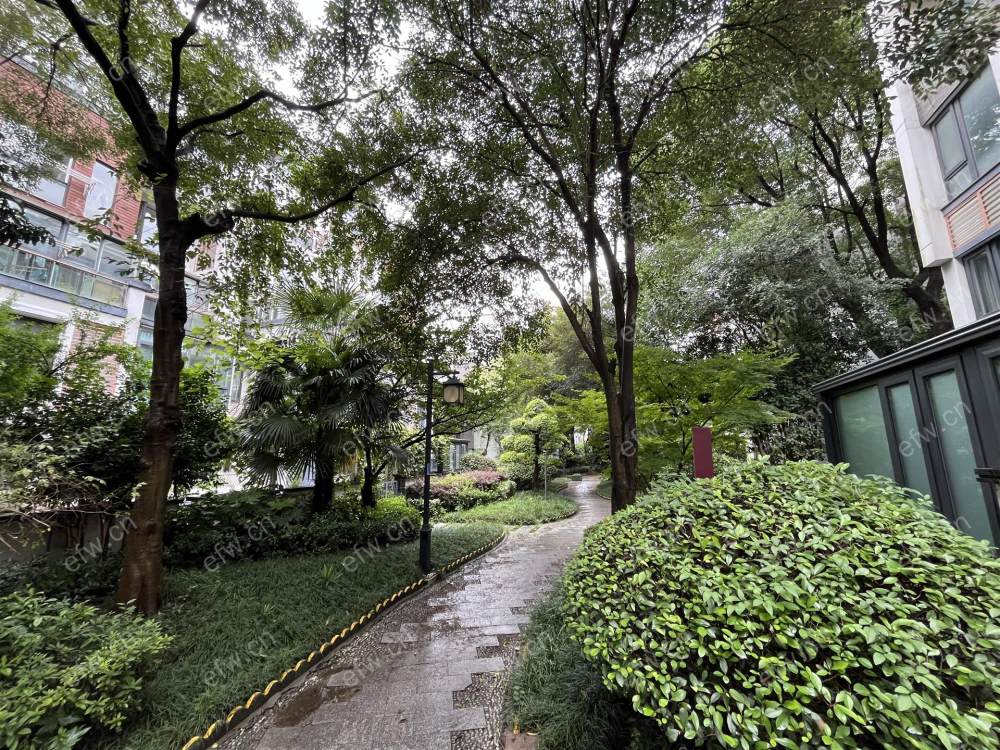 金科东方水榭(东方王榭) 3室2厅  房东说不管什么价格租出去给2000现金奖励