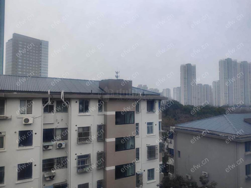 曹张新村 1室0厅