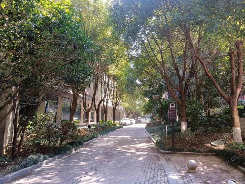 九龙仓时代上城B区 洋房豪华 地段好位置好