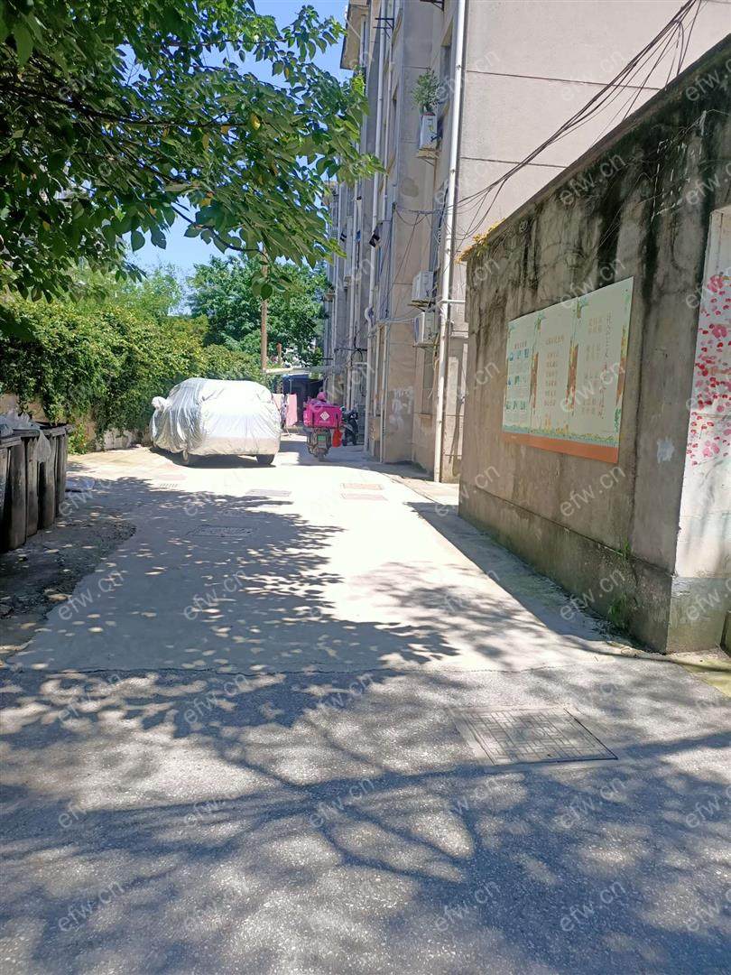 谢巷(滨湖区惠河路) 2室1厅