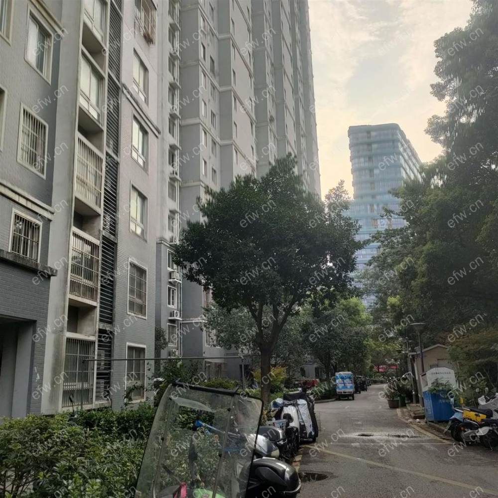 民丰苑简单装修