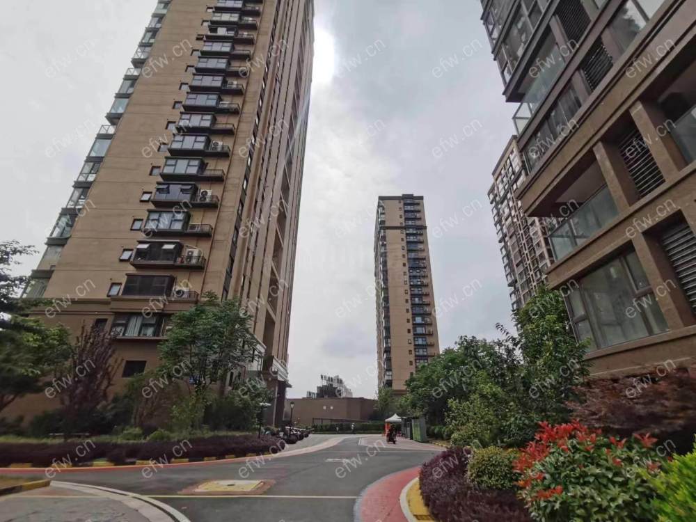 新出 59万精装 拎包入住1