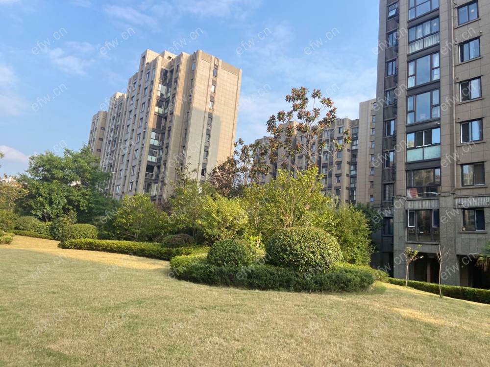 保利香槟际 5室3厅，纯毛坯，未使用过
