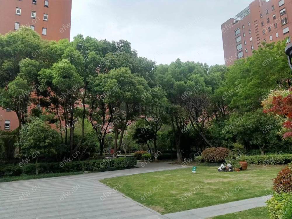 精装三房保养好看房提前预约
