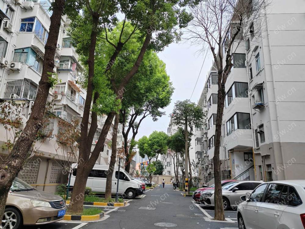 芦庄四区，，，