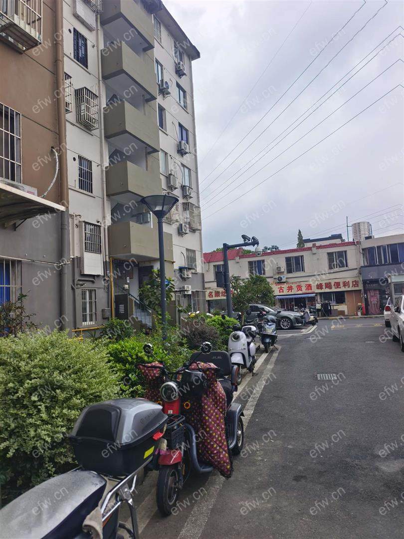 芦庄六区精装1室  随时看房 拎包入住