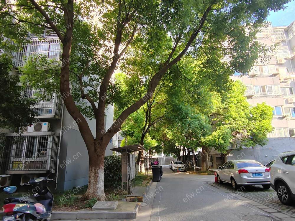 向阳苑 2室1厅....看房跟房东联系今天租客搬走