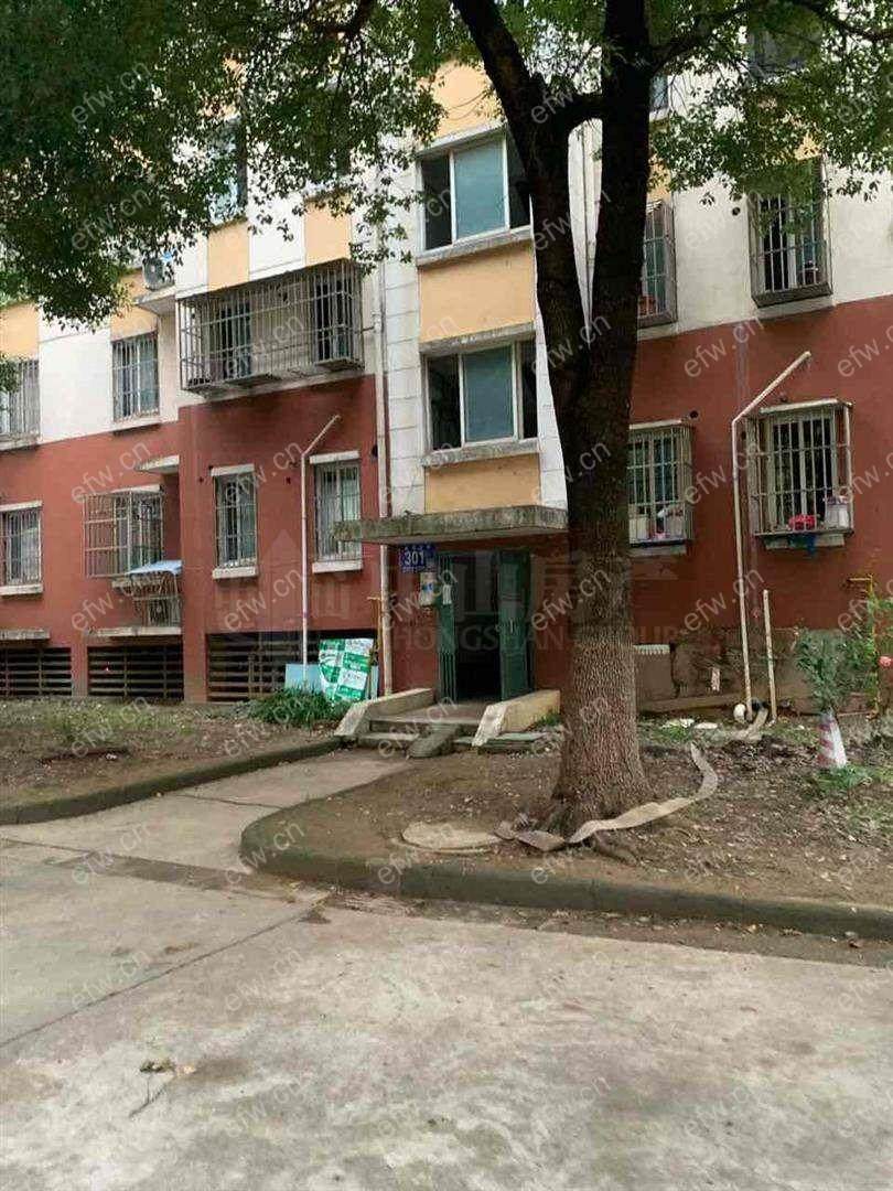 龙塘家园 1室1厅新装饰拎包入住