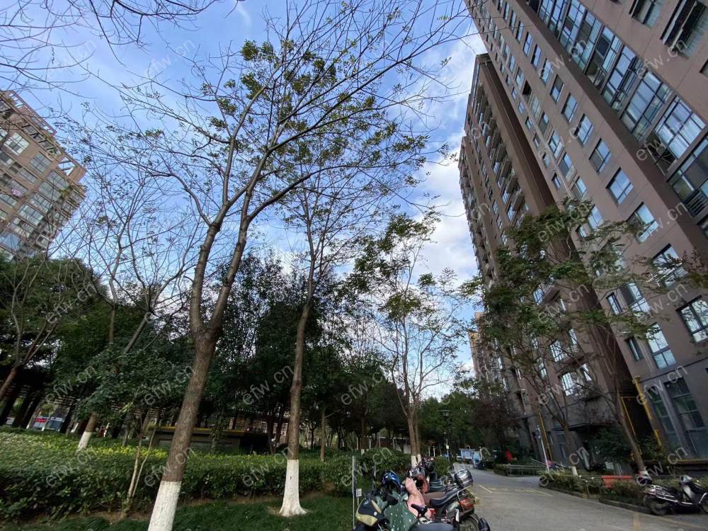 小区门口位置，精装保养好！价格看中可谈