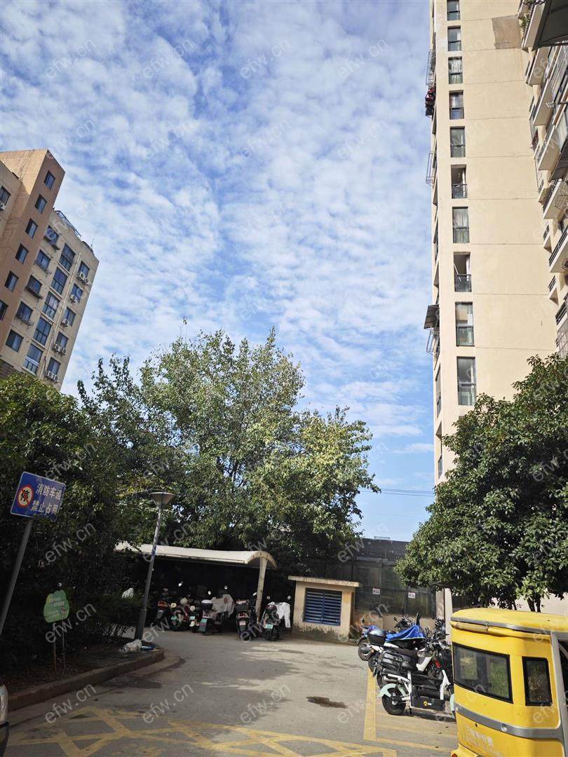 精装修拎包入住看房方便