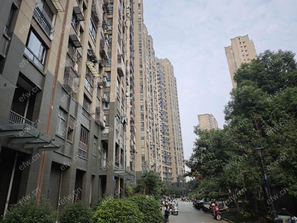 好房出租 梧桐水岸 精装修一室一厅 拎包