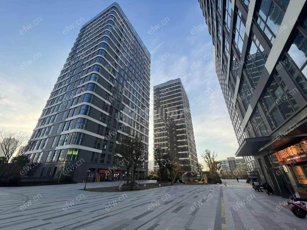 village 毛坯顶带阁楼 采光好南北