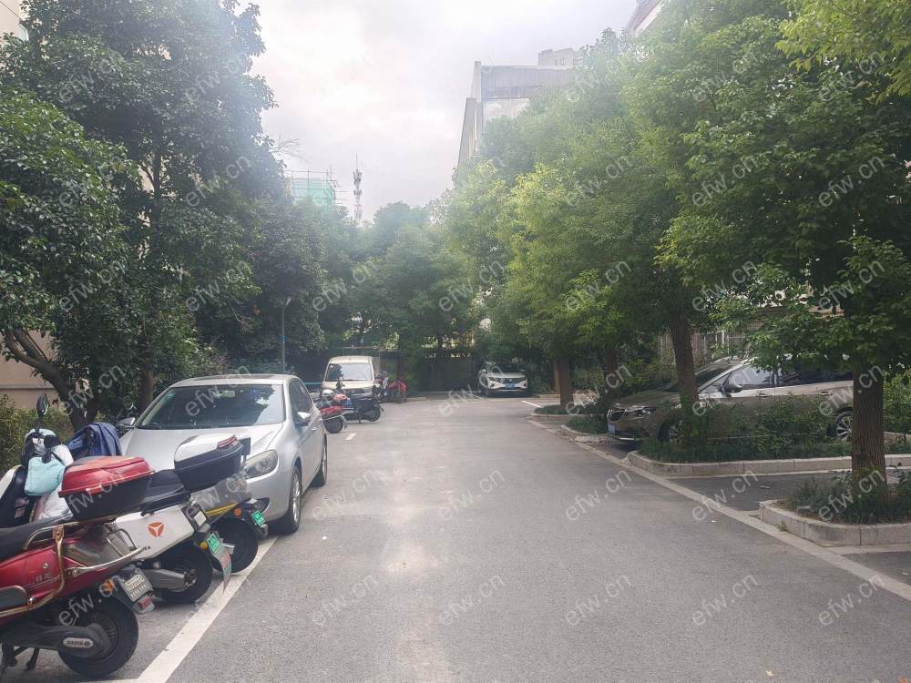 家电齐全 双阳台凤翔苑 采光好 绿化好