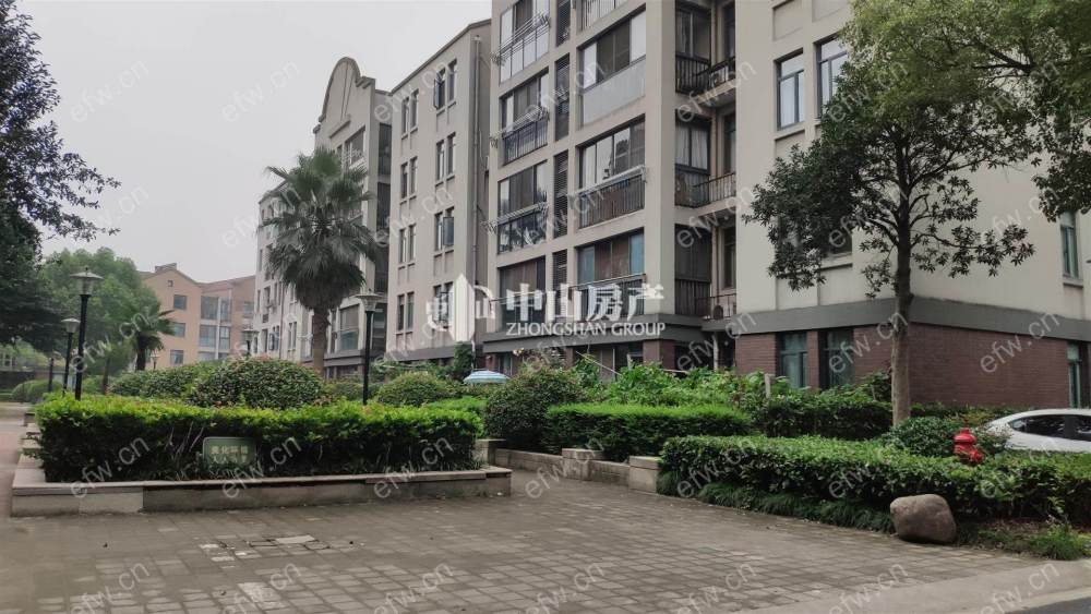 小高层   房东诚心出售  无贷款