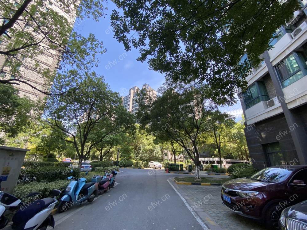 精装修拎包入住三开间朝南