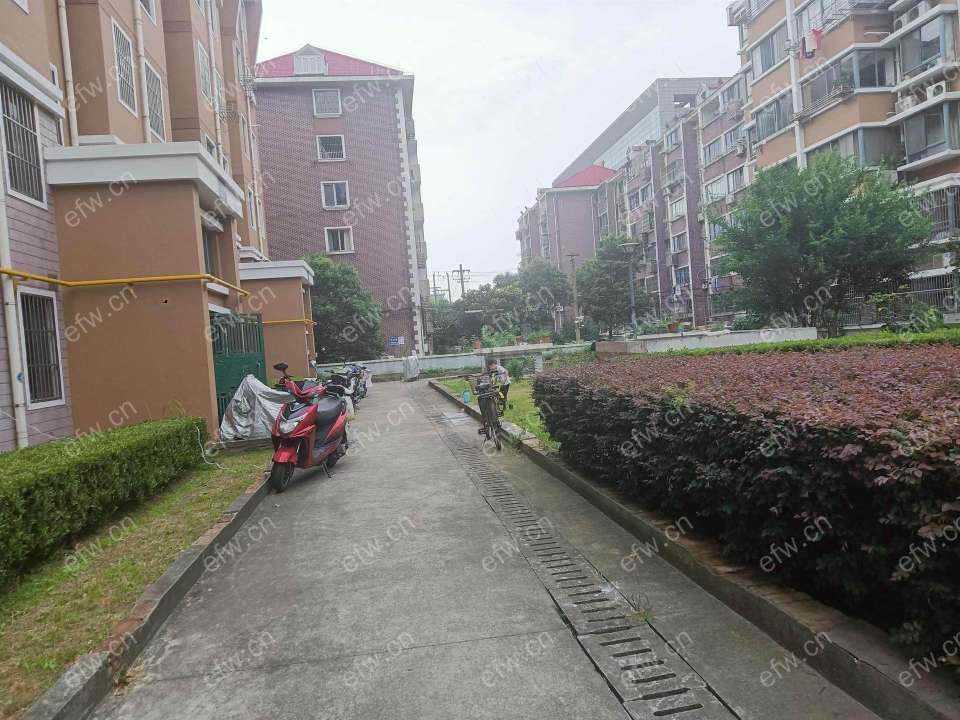 民丰家园二期精装2室  随时看房 拎包入住