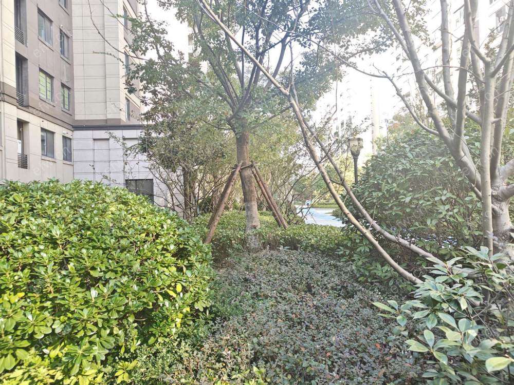婚装全明东边户3房,太湖雍华府 格局工整合理