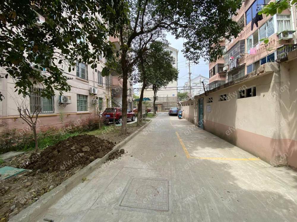 荷叶新村 2室1厅精装修