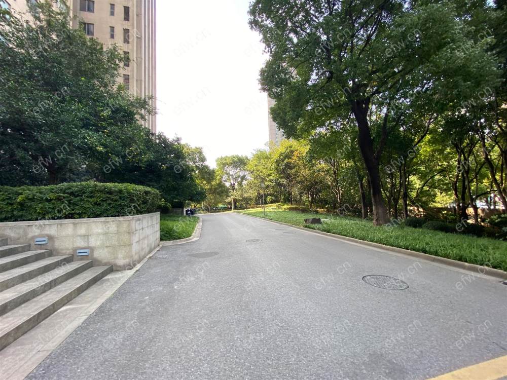 湖滨商业街豪装   大四房两厅