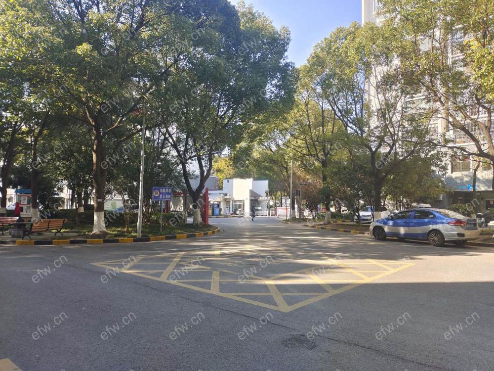 梁湖南苑精装整租电梯两房