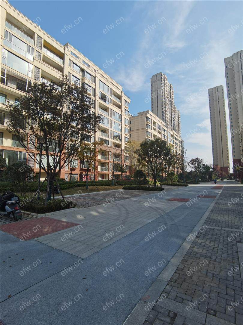 硬装交付 三开间朝南 南北通透 次新小区