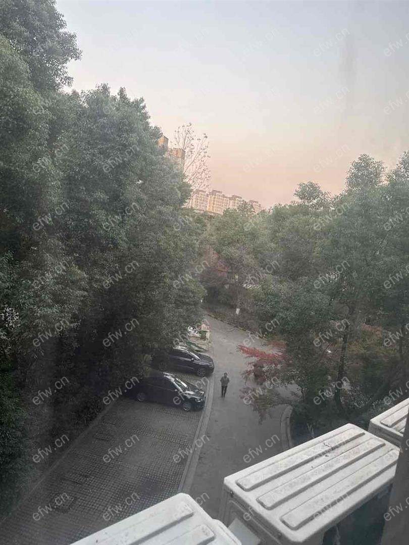 蔚蓝观邸（公寓）精装1室  随时看房 拎包入住