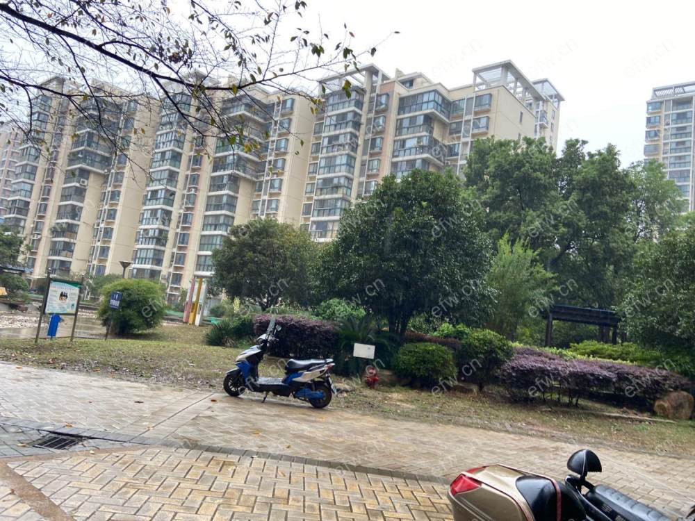 蠡湖人家 经典3房 东边户 全明