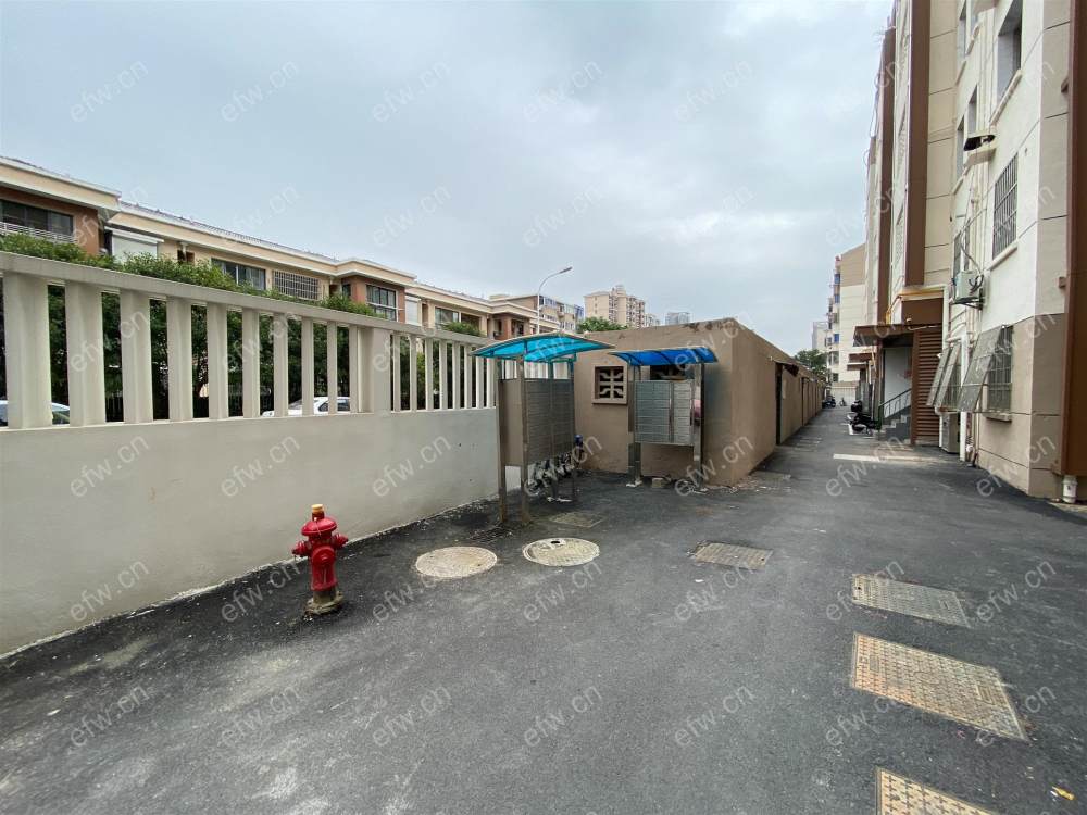 震泽一村 3房 全明户型 另送家电