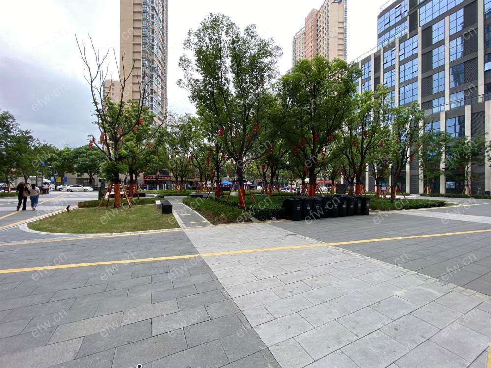 俊发俊园 精装 一室一厅
