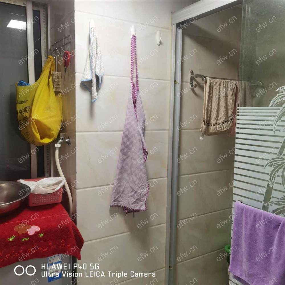 庄前新村（49-115）精装1室  随时