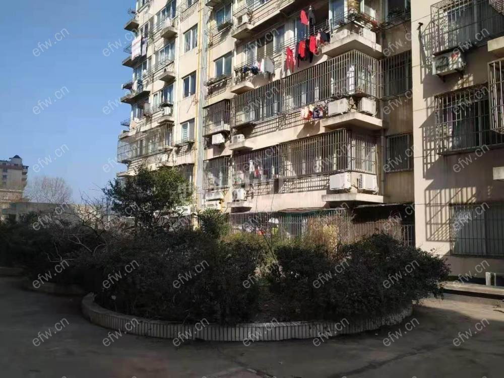 通德桥小学 小木桥对面