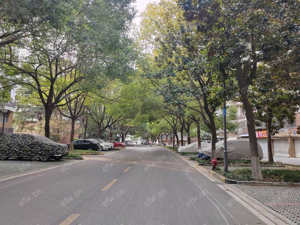 瑞扬家园 2室2厅两房朝南.拎包入住